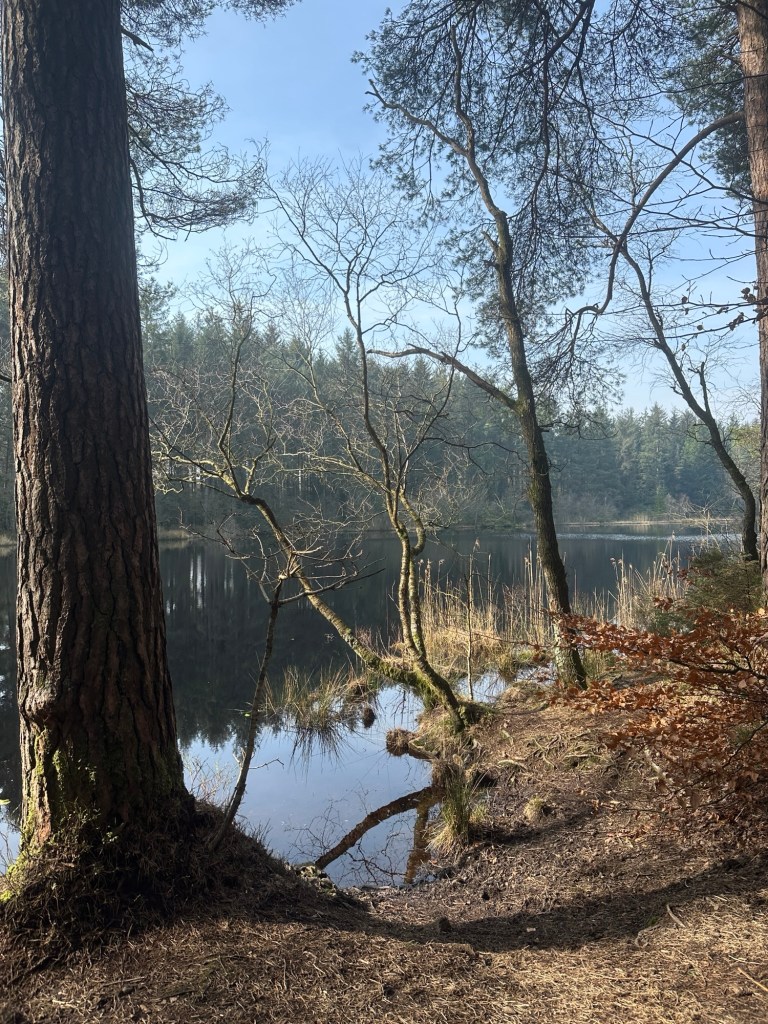 img_8076
