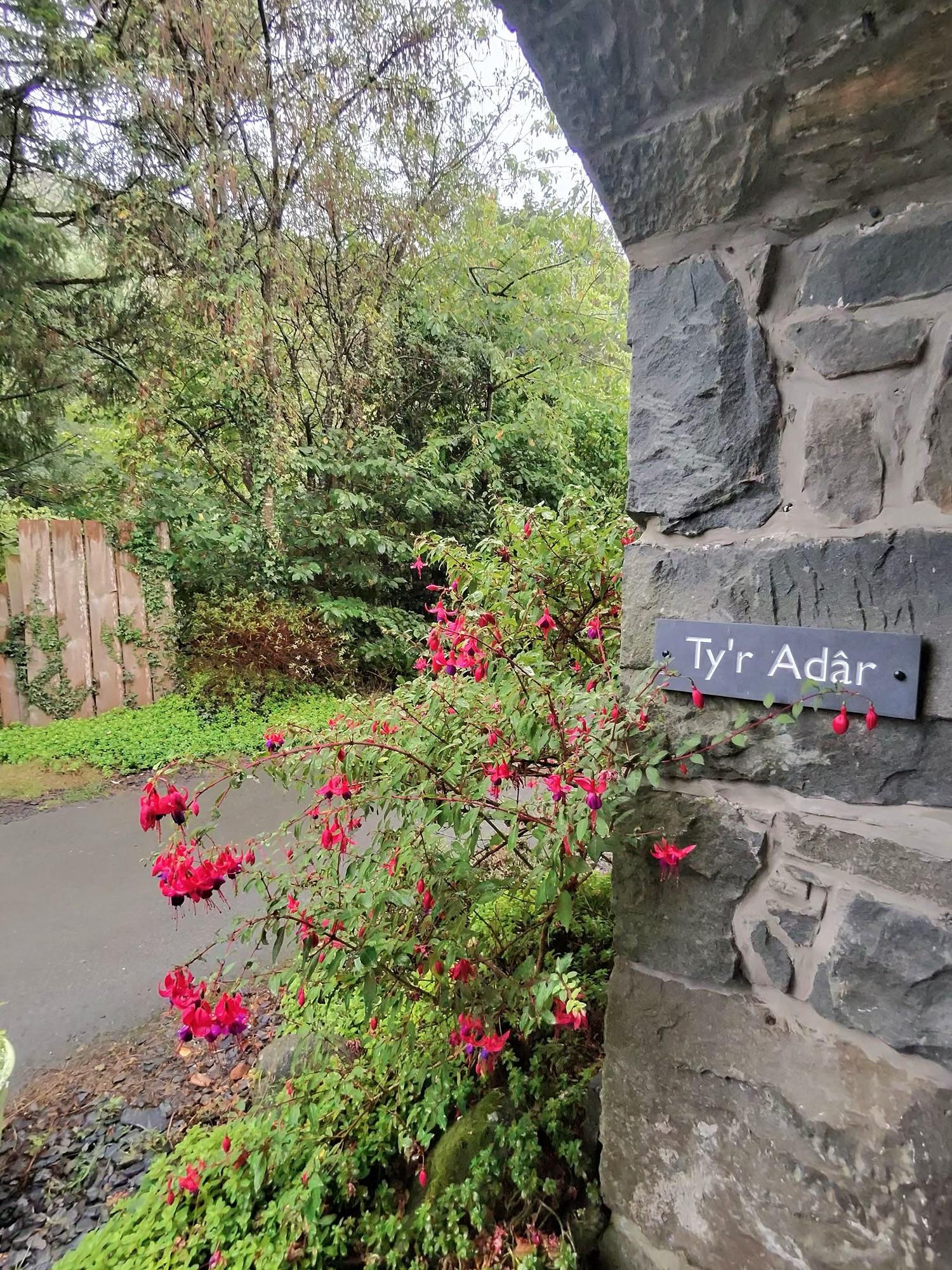 Graig Wen Arthog Review – Dog-Friendly Accommodation Near Dolgellau