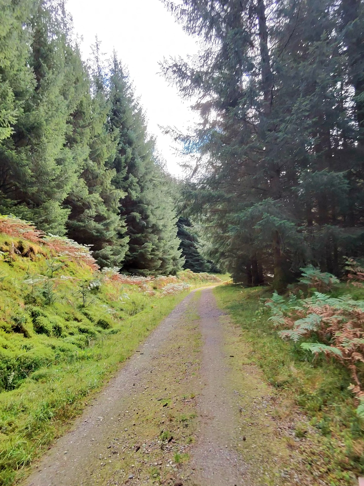 Cycling Route 7 from Callander to Killin – Our 45-Mile E-Bike Ride
